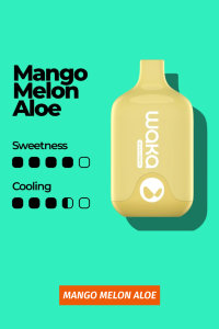 Waka 6000 Smash - Mango Melon Aloe (Манго Дыня Алоэ)
