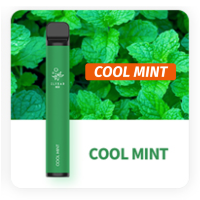 Одноразовая сигарета Elf Bar 800 - Cool Mint